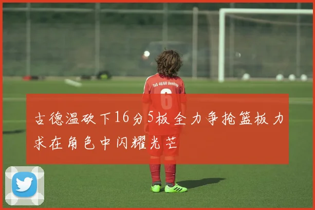 古德温砍下16分5板全力争抢篮板力求在角色中闪耀光芒
