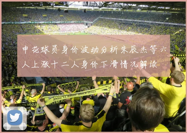 申花球员身价波动分析朱辰杰等六人上涨十二人身价下滑情况解读