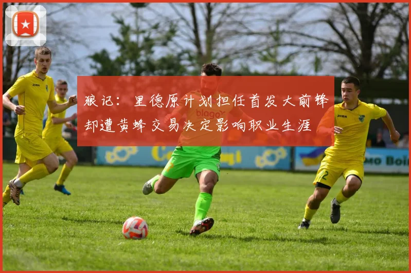 狼记：里德原计划担任首发大前锋却遭黄蜂交易决定影响职业生涯