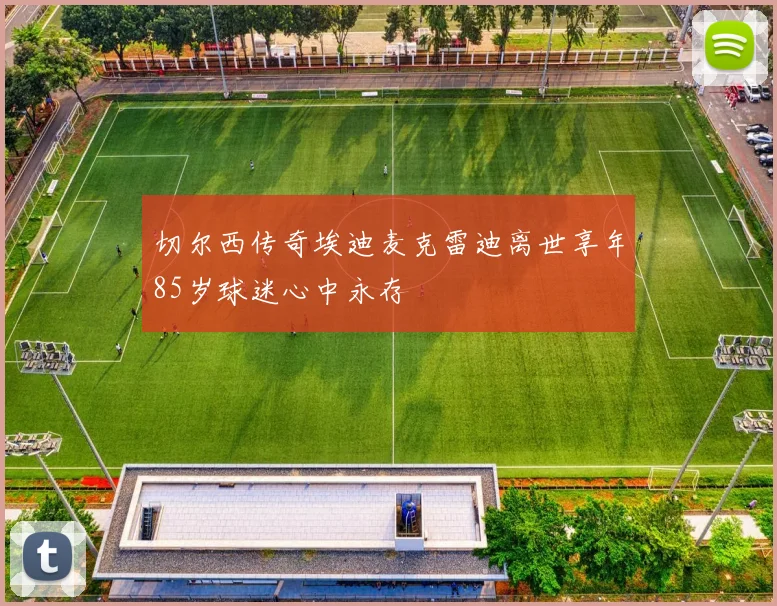 切尔西传奇埃迪麦克雷迪离世享年85岁球迷心中永存
